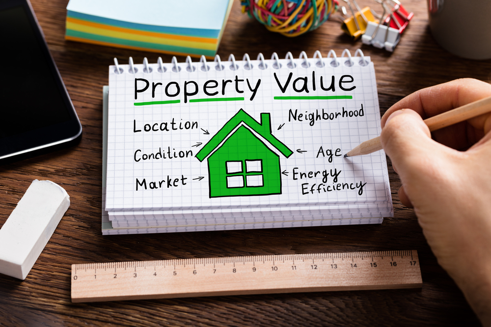 strong motive of property valuation when buying land
